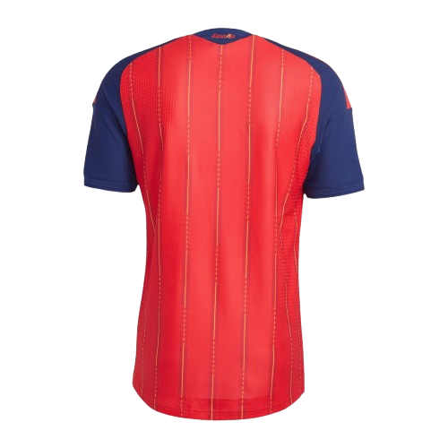 Spain 2026 World Cup